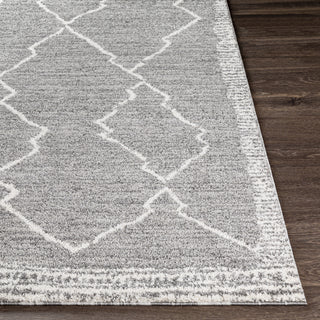 Livabliss Andorra ARD-2309 Area Rug