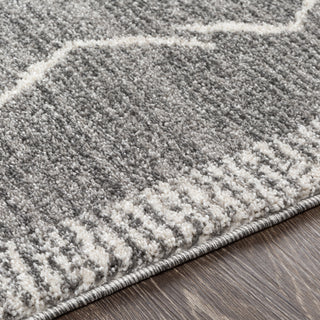 Livabliss Andorra ARD-2309 Area Rug