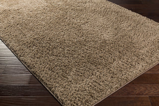 Surya Arlie ARE-9005 Area Rug 5x8 Corner Feature