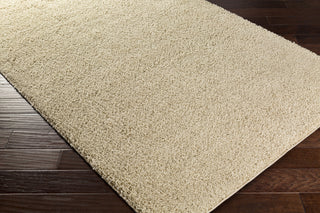 Surya Arlie ARE-9006 Area Rug 5x8 Corner Feature