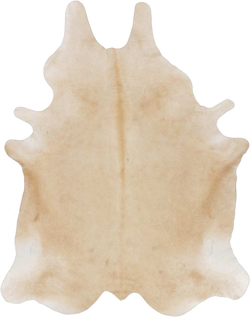 Surya Archer ARH-5000 Area Rug