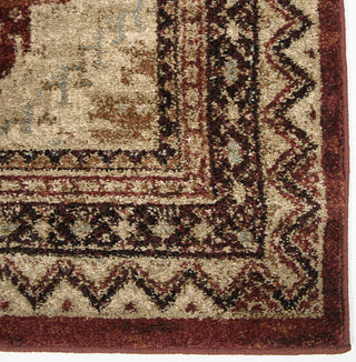 Orian Rugs Aria Izmir Rouge Area Rug by Palmetto Living Close up