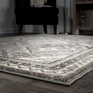 Orian Rugs Aria Izmir Silverton Area Rug by Palmetto Living 