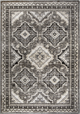 Orian Rugs Aria Izmir Silverton Area Rug by Palmetto Living main image
