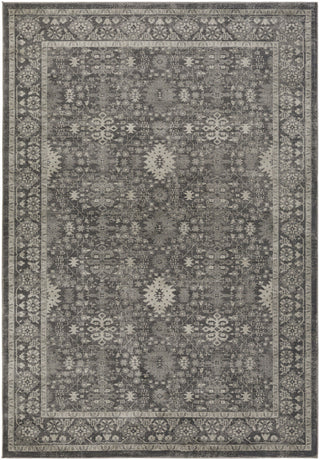 Surya Allegro ARO-1001 Neutral/Black Area Rug main image