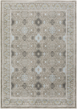 Surya Allegro ARO-1002 Grey/White Area Rug 5'2'' X 7'6''