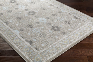 Surya Allegro ARO-1002 Area Rug Closeup Feature