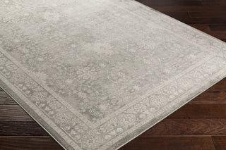 Surya Allegro ARO-1003 Area Rug Closeup Feature