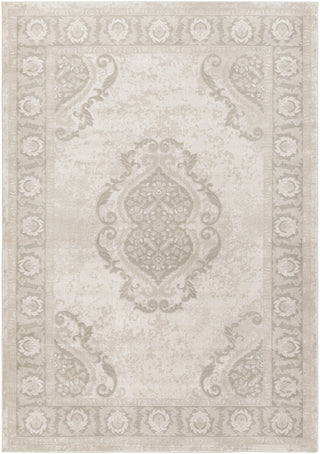 Surya Allegro ARO-1006 Neutral/Grey Area Rug main image