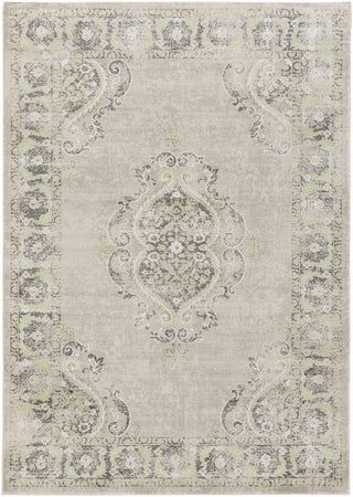 Surya Allegro ARO-1007 Neutral/Grey Area Rug main image