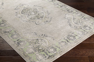 Surya Allegro ARO-1007 Area Rug Closeup Feature