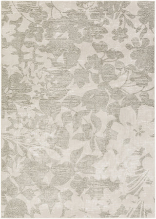 Surya Allegro ARO-1011 White/Neutral Area Rug main image