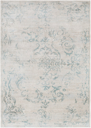 Surya Allegro ARO-1014 Neutral/Brown Area Rug main image