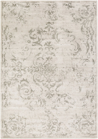 Surya Allegro ARO-1015 Neutral/Brown Area Rug main image