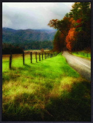 Art Effects a Country Morning Wall Art by D Burt