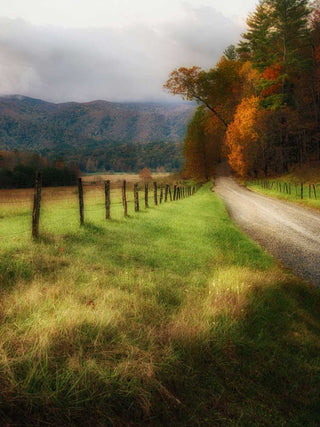 Art Effects a Country Morning Wall Art by D Burt