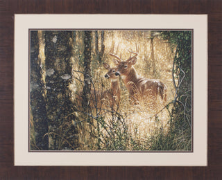 Art Effects A Golden Moment Wall Art by Collin Bogle