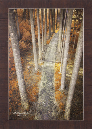 Art Effects a Magical Flight Wall Art by Martin Podt