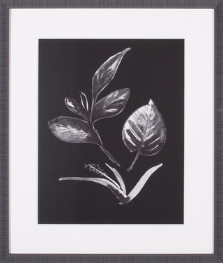 Art Effects Assorted Leaves on Black I Wall Art by Patricia Pinto