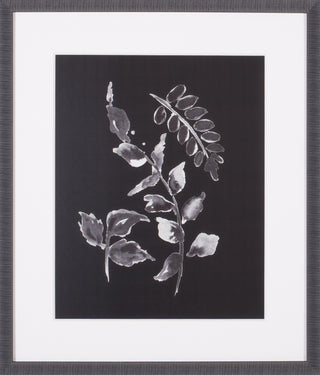 Art Effects Assorted Leaves on Black Ii Wall Art by Patricia Pinto