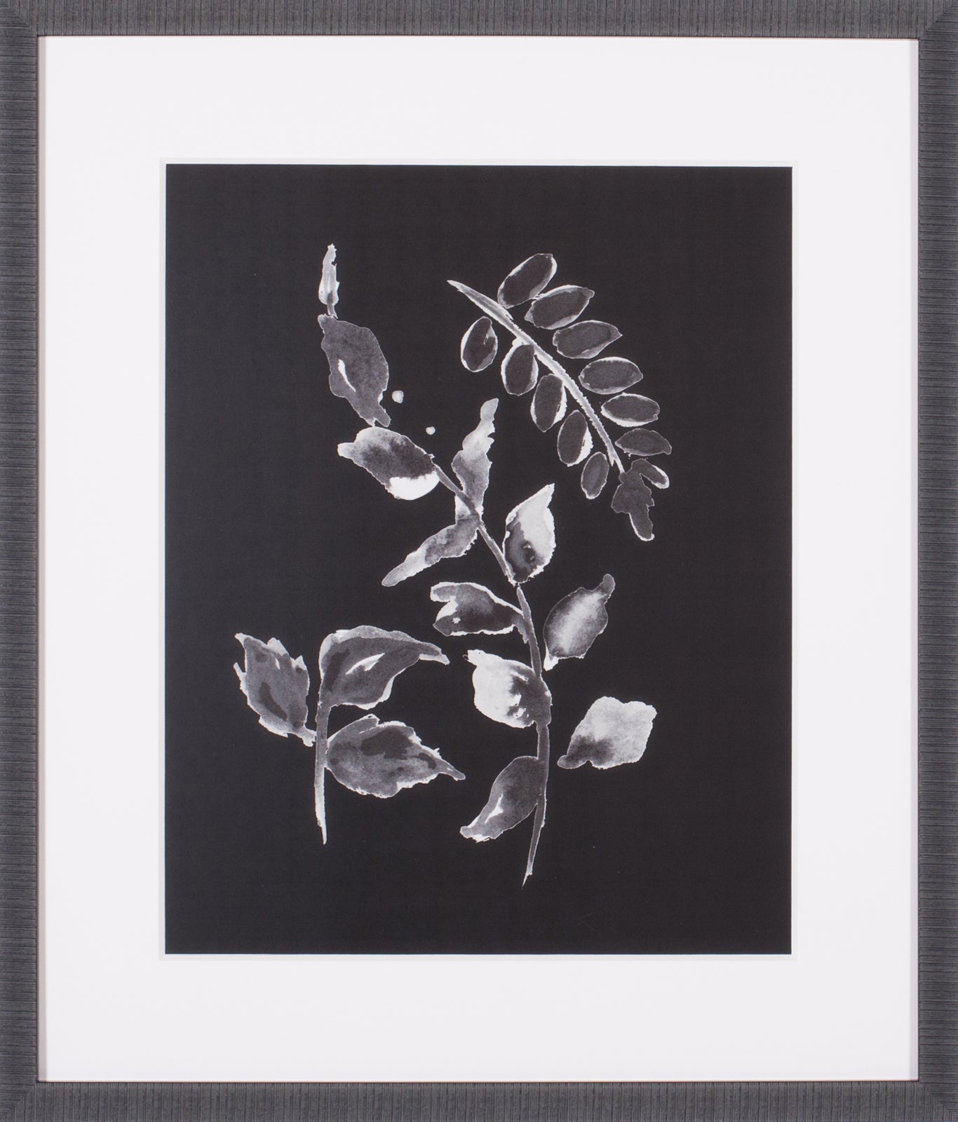 Art Effects Assorted Leaves On Black II Wall Art by Patricia Pinto