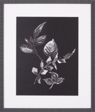 Art Effects Assorted Leaves on Black Iii Wall Art by Patricia Pinto
