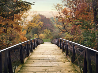 Art Effects Autumn Encounter Wall Art by Jessica Jenney