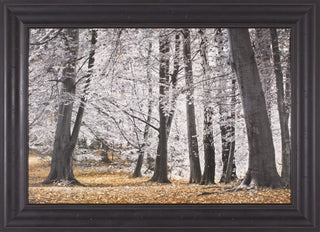 Art Effects Autumn Trees and Leaves Wall Art by Assaf Frank