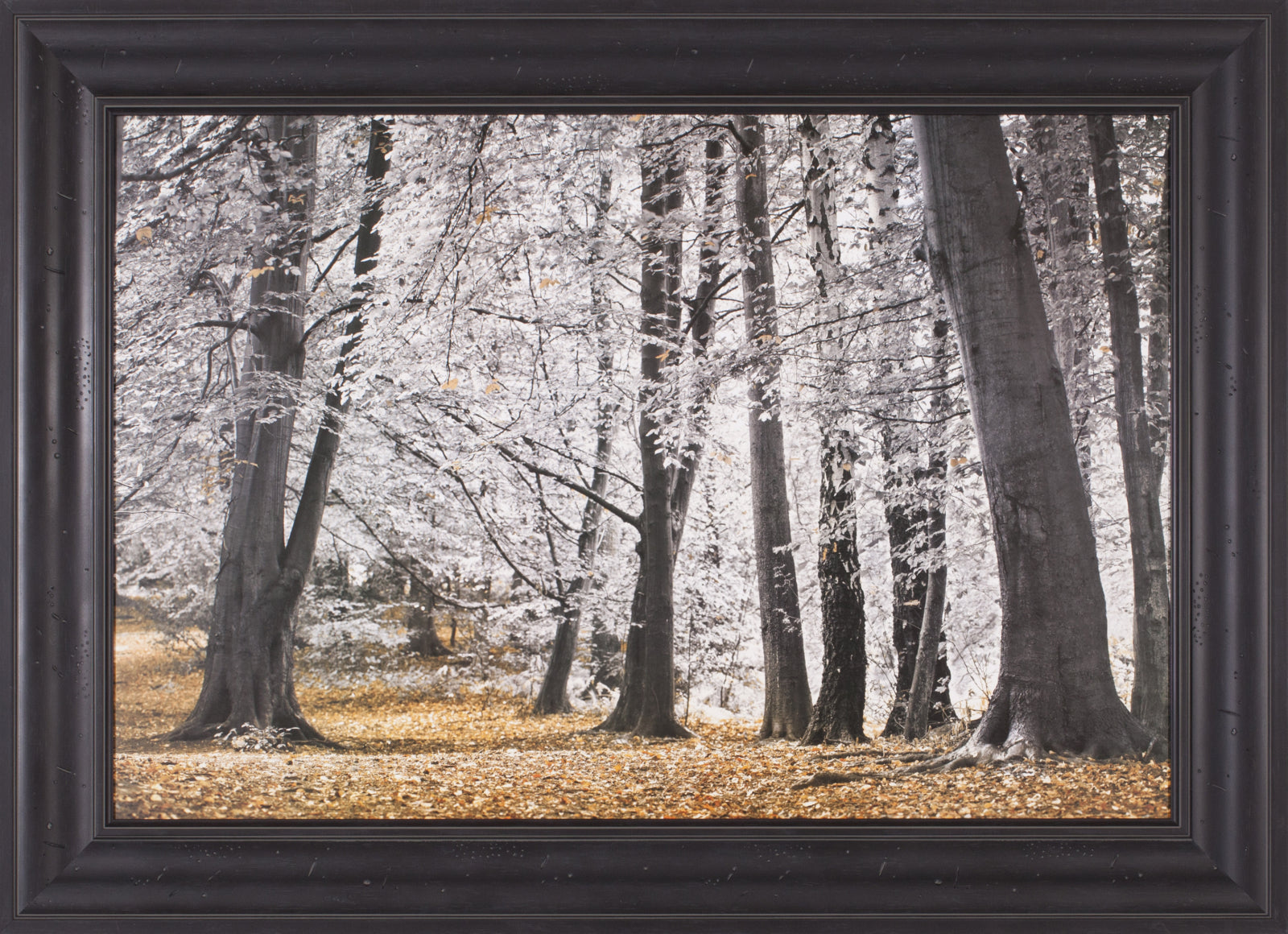 Art Effects Autumn Trees and Leaves Wall Art by Assaf Frank