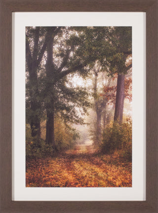 Art Effects Autumn's Walk I Wall Art by Danny Head