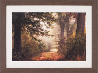 Art Effects Autumn's Walk Ii Wall Art by Danny Head
