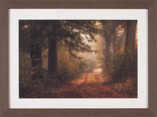 Art Effects Autumn's Walk Iii Wall Art by Danny Head