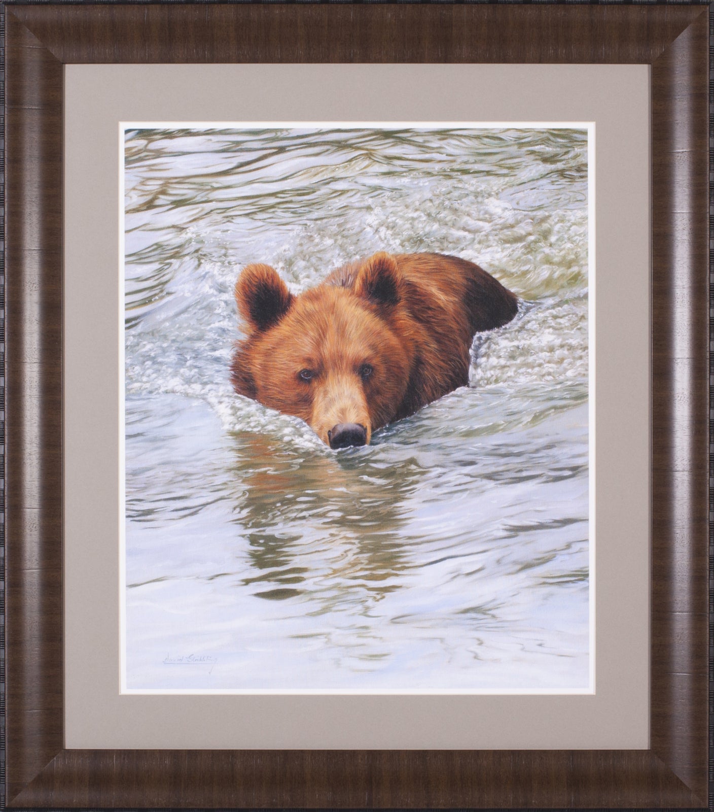 Art Effects Bear Swimming Wall Art by David Stribbling
