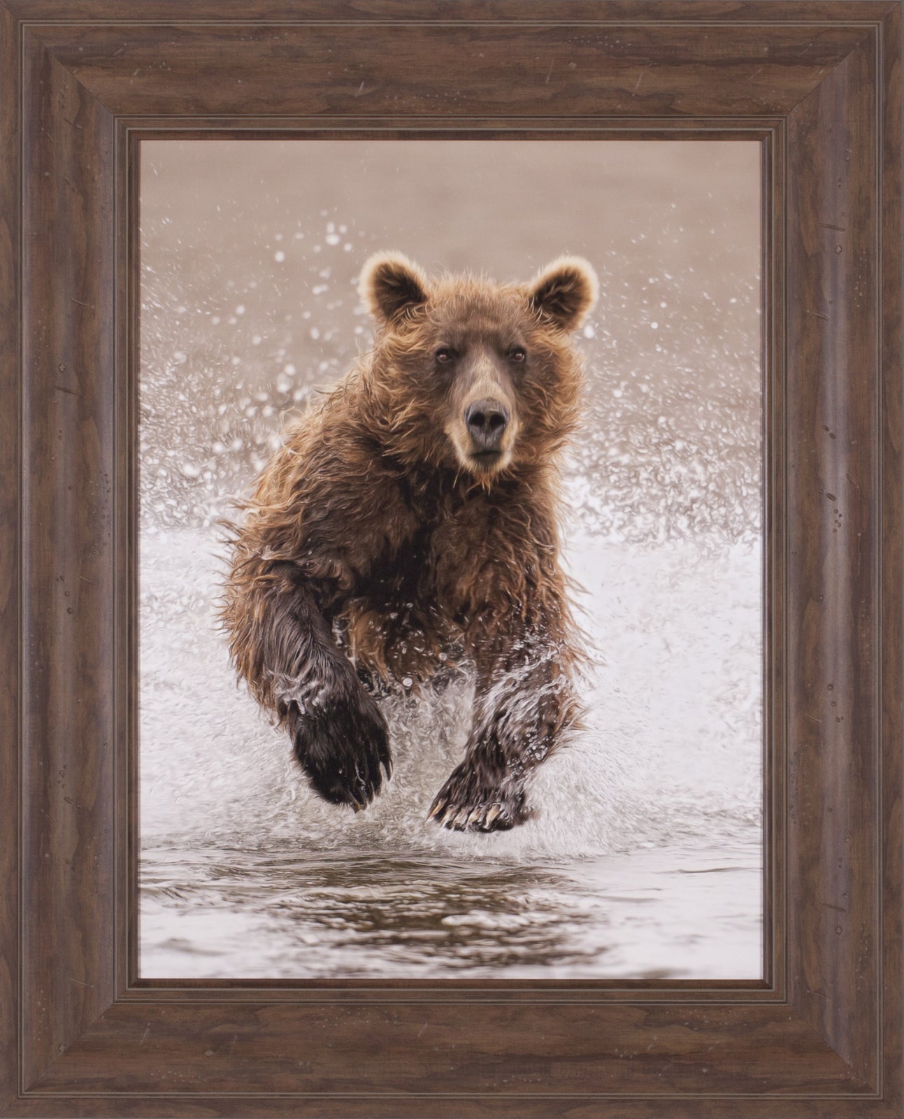 Art Effects Bears at Play II Wall Art by PH Burchett