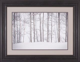 Art Effects Behind Cloister Doors Wall Art by Eunika Rogers