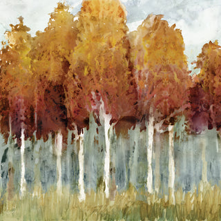 Art Effects Birch I Wall Art by Edward Selkirk