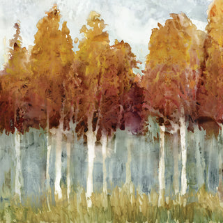 Art Effects Birch Ii Wall Art by Edward Selkirk