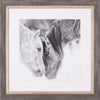 Art Effects Black and White Horses VII Wall Art by PH Burchett