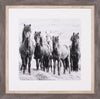 Art Effects Black and White Horses VIII Wall Art by PH Burchett