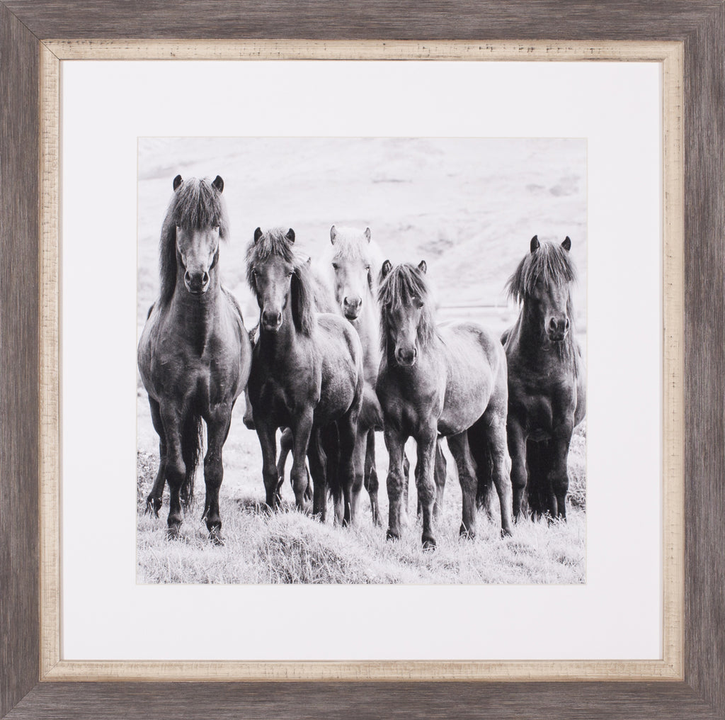 Art Effects Black and White Horses VIII Wall Art by PH Burchett