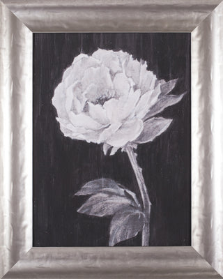 Art Effects Black and White Flowers Ii Wall Art by Ethan Harper