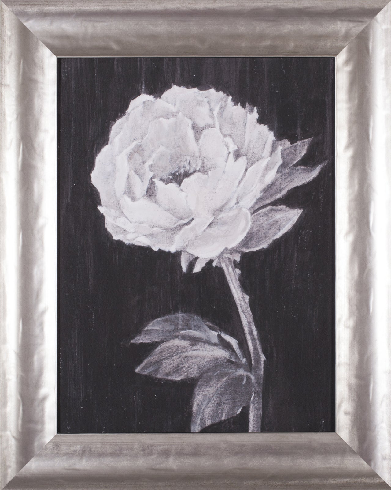 Art Effects Black and White Flowers II Wall Art by Ethan Harper
