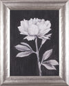 Art Effects Black and White Flowers III Wall Art by Ethan Harper