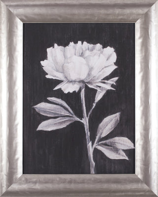 Art Effects Black and White Flowers Iii Wall Art by Ethan Harper