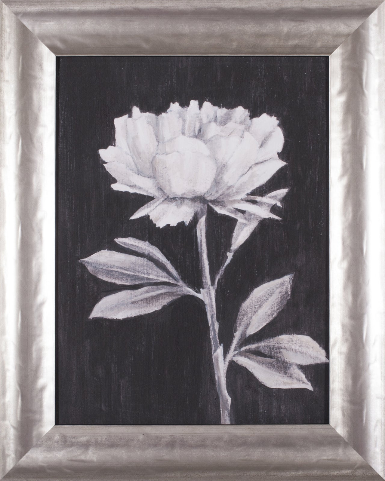 Art Effects Black and White Flowers III Wall Art by Ethan Harper