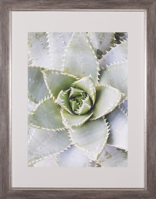 Art Effects Cactus 3 Wall Art by Jenny Kraft