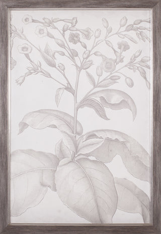 Art Effects Classic Romance I Wall Art by Vision Studio