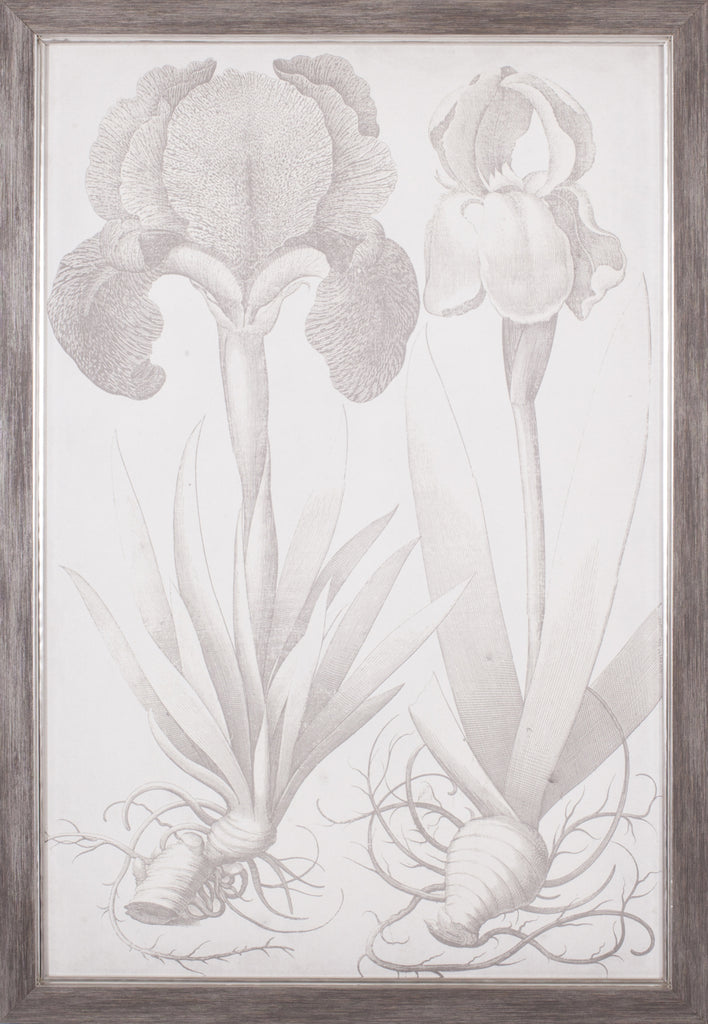 Art Effects Classic Romance IV Wall Art by Vision Studio