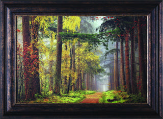 Art Effects Colors of the Forest Wall Art by Lars Van De Goor