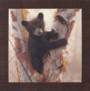 Art Effects Curious Cub I Wall Art by Collin Bogle